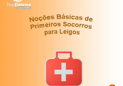 Noções Básicas de Primeiros Socorros para Leigos