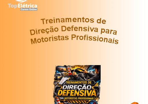 Treinamentos de Direção Defensiva para Motoristas Profissionais